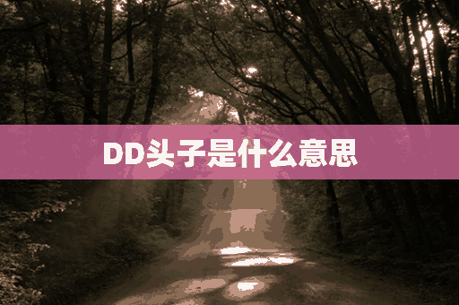 DD头子是什么意思